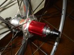 DSC00385.jpg