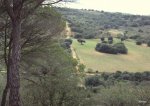 DSC00244.JPG