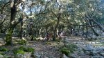 MTB-Mallorca-Planici-11.jpg