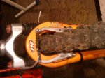 DSC00010[1].jpg