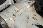 DSC_4722.jpg