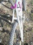 Haro_extreme_mag21 (8).jpg