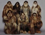 wookiee-warriors.jpg