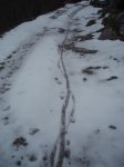 PC050185.jpg
