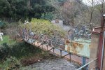 DSC01055.jpg