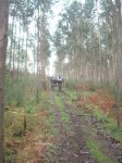 DSCN4850.JPG