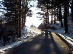 100_0379.jpg