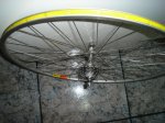 DSC09224.jpg