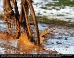 cap-mud.jpg