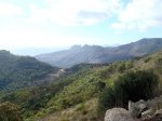 DSC01929.jpg