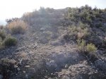 DSC01176.JPG