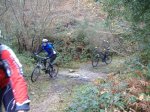 DSCF1183.jpg