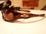 Gafas2.JPG