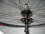 DSC01455.jpg