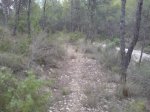 DSC00615.jpg