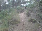 DSC00616.jpg