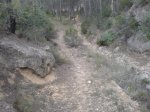 DSC00617.jpg