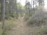 DSC00618.jpg