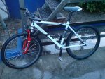 DSC01188.jpg