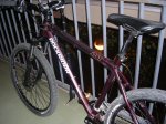 DSCN7937.jpg
