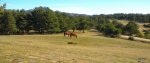 DSCN0820.JPG