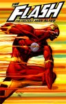 flash.jpg