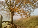 DSC00414.jpg
