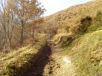 DSC00416.jpg