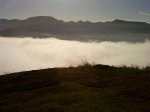 DSC00423.jpg
