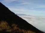 DSC00433.jpg