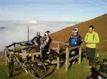 DSC00442.jpg
