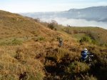 DSC00445.jpg