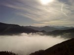 DSC00446.jpg