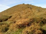 DSC00448.jpg