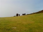 DSC00450.jpg