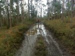 DSC00015.jpg