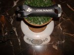 DSC00937.JPG