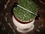 DSC00932.JPG