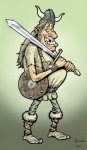 vikingo kotan (1).jpg