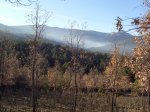 IMG_0010.JPG