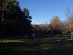 IMG_0015.JPG