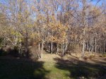 IMG_0017.JPG