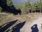 IMG_0020.JPG