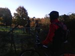 DSC00239.jpg
