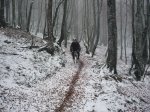 canal 13-12-09 00008.JPG