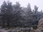 Foto11.JPG
