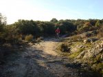 DSC02906.JPG