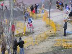 P1010015.JPG