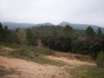 100_4016.jpg