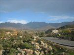 IMG_4902.jpg